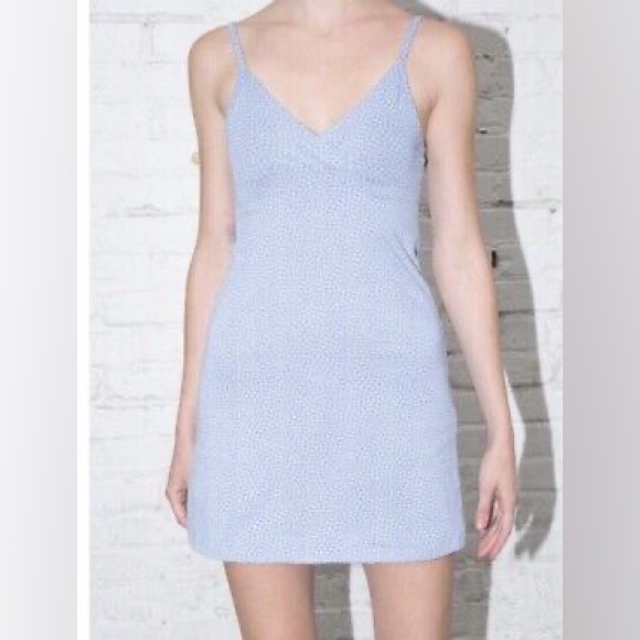 Brandy Melville Blue Floral Amara Dress - Picture 9 of 9